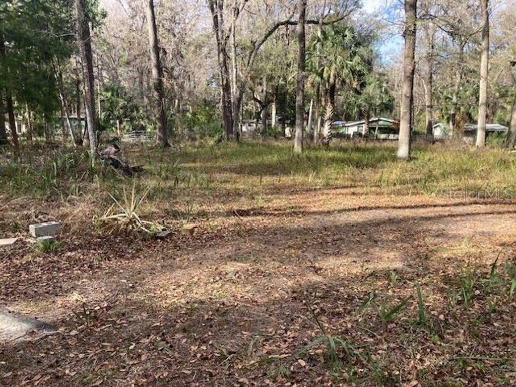 2456 N JUNGLE CAMP ROAD 1, Inverness, FL 34453
