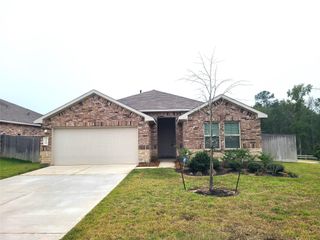 14628 Bellaria Manor Lane, Magnolia, TX 77354