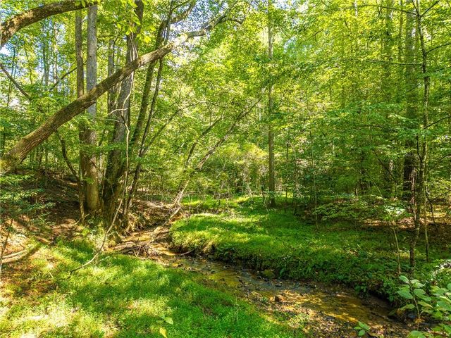 681 Catawba Circle, Ellijay, GA 30540