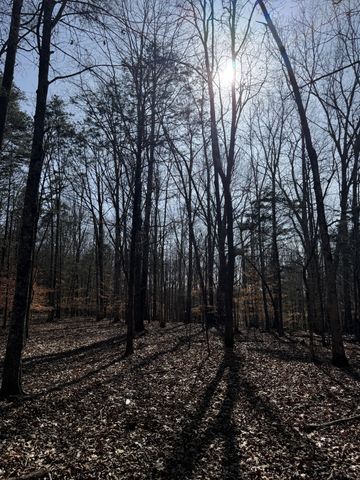 0 Step Rock Hill Rd, Cookeville, TN 38506