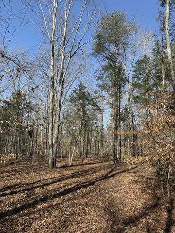 0 Step Rock Hill Rd, Cookeville, TN 38506