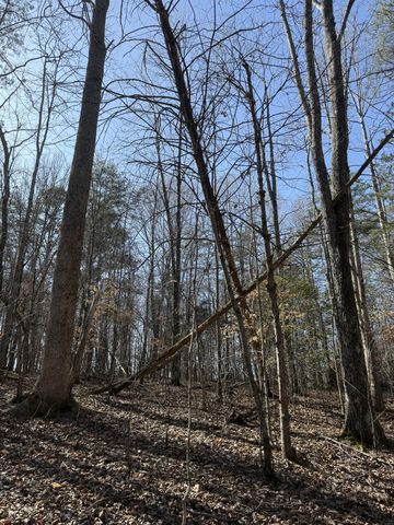0 Step Rock Hill Rd, Cookeville, TN 38506