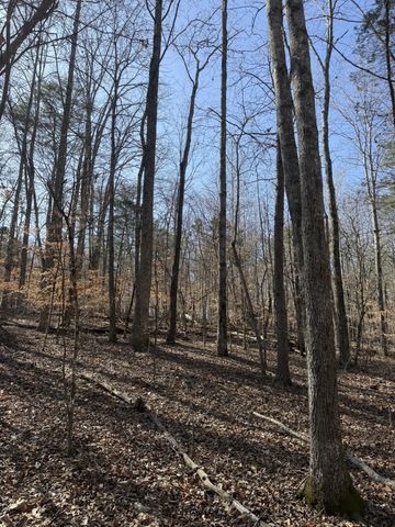 0 Step Rock Hill Rd, Cookeville, TN 38506
