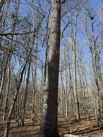 0 Step Rock Hill Rd, Cookeville, TN 38506