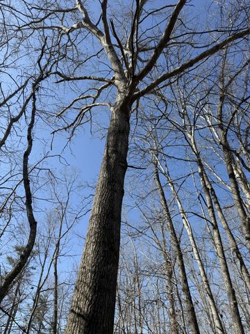 0 Step Rock Hill Rd, Cookeville, TN 38506