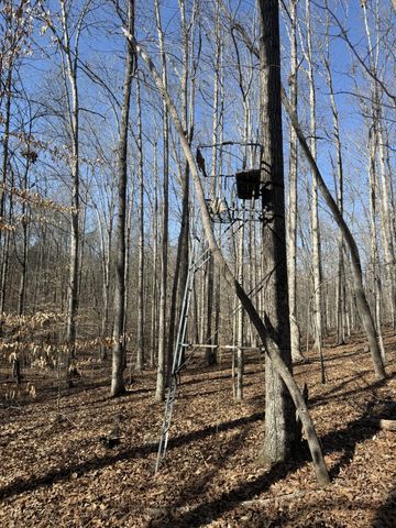 0 Step Rock Hill Rd, Cookeville, TN 38506