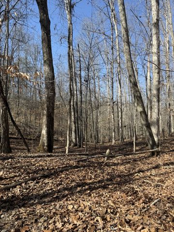 0 Step Rock Hill Rd, Cookeville, TN 38506