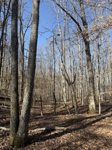 0 Step Rock Hill Rd, Cookeville, TN 38506