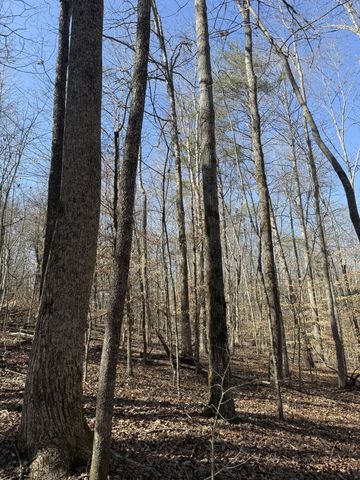 0 Step Rock Hill Rd, Cookeville, TN 38506