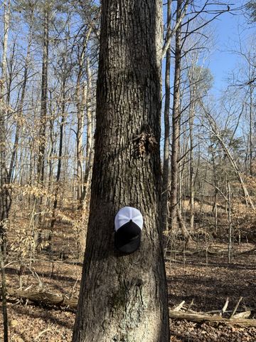 0 Step Rock Hill Rd, Cookeville, TN 38506