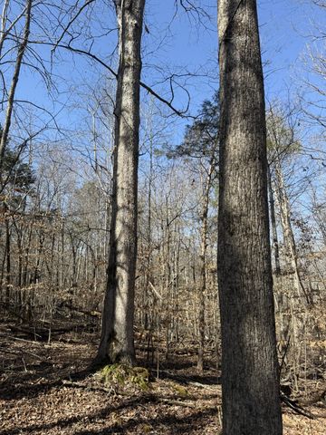 0 Step Rock Hill Rd, Cookeville, TN 38506