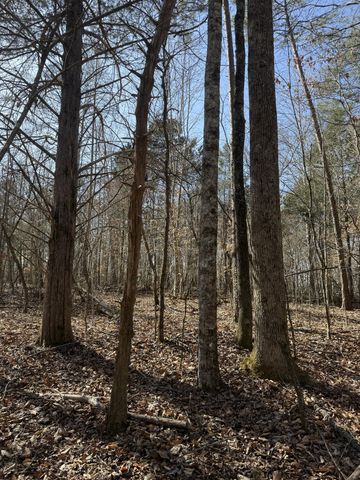 0 Step Rock Hill Rd, Cookeville, TN 38506