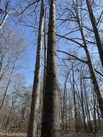 0 Step Rock Hill Rd, Cookeville, TN 38506