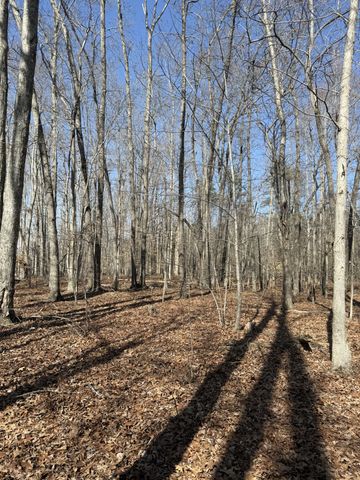 0 Step Rock Hill Rd, Cookeville, TN 38506