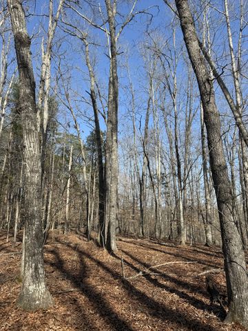 0 Step Rock Hill Rd, Cookeville, TN 38506