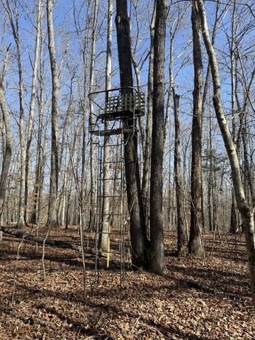 0 Step Rock Hill Rd, Cookeville, TN 38506