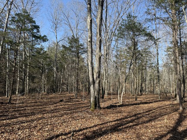 0 Step Rock Hill Rd, Cookeville, TN 38506