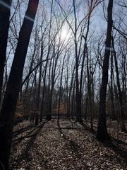 0 Step Rock Hill Rd, Cookeville, TN 38506