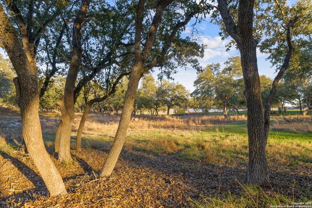 539 Clay Ridge, Canyon Lake, TX 78133
