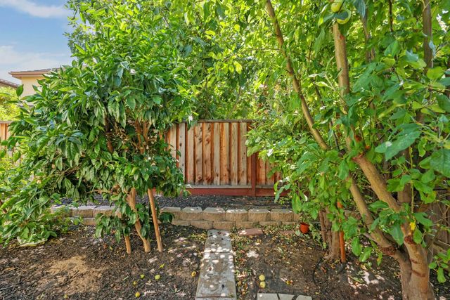 566 W Bonaventure Ave, Mountain House, CA 95391