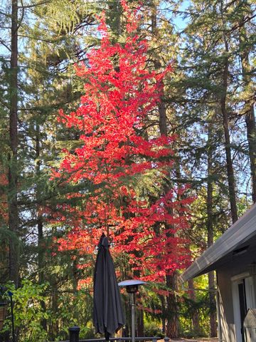 15967 Fairway Glen Pl, Grass Valley, CA 95949