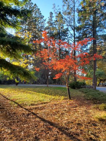 15967 Fairway Glen Pl, Grass Valley, CA 95949