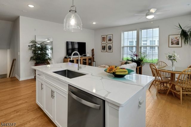 73 Robeson St, Somerville Boro, NJ 08876