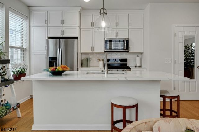73 Robeson St, Somerville Boro, NJ 08876