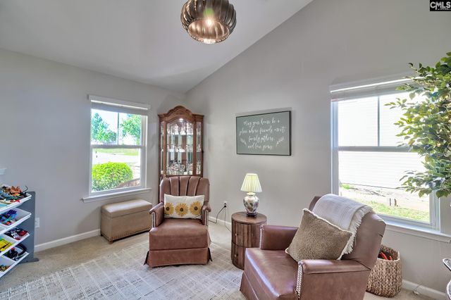 132 Castlefield Drive, Lexington, SC 29073