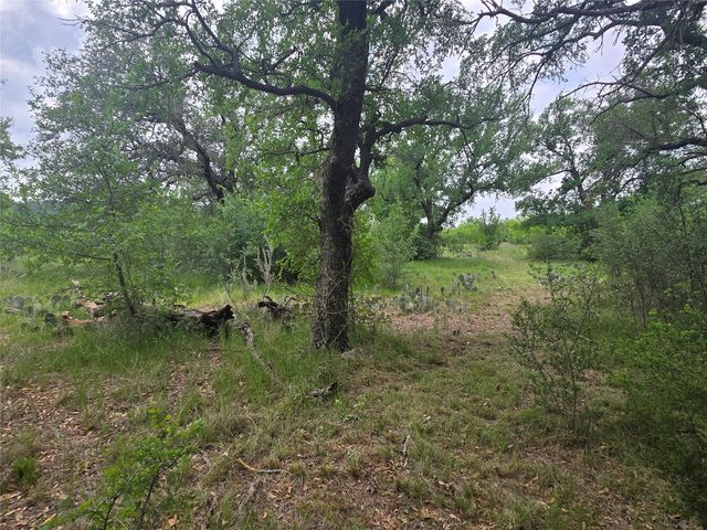 Lot 913 Cinnamon Teal, Graford, TX 76449