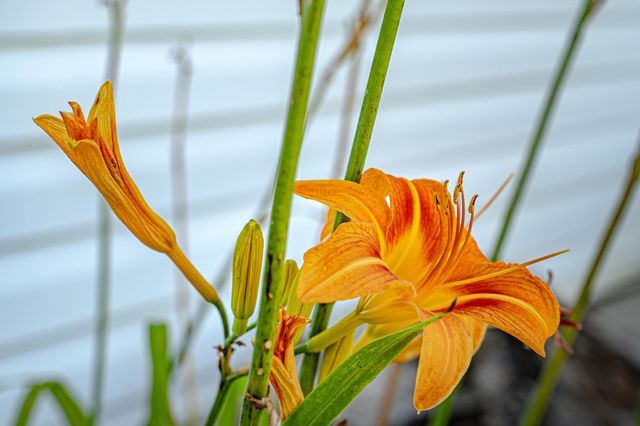 444 Rural Route 3 O-527, Ava, MO 65608