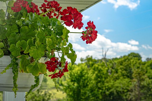 444 Rural Route 3 O-527, Ava, MO 65608