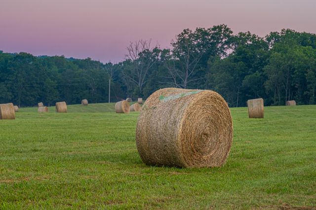 444 Rural Route 3 O-527, Ava, MO 65608