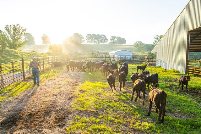 444 Rural Route 3 O-527, Ava, MO 65608