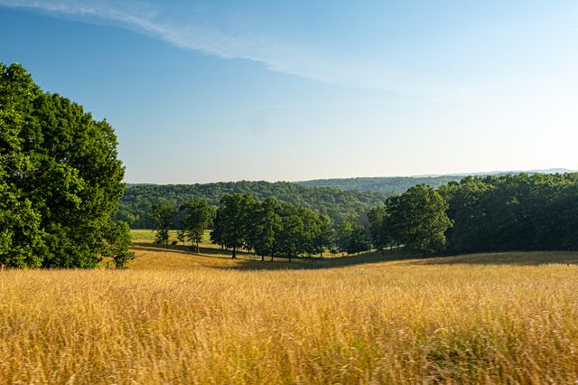 444 Rural Route 3 O-527, Ava, MO 65608