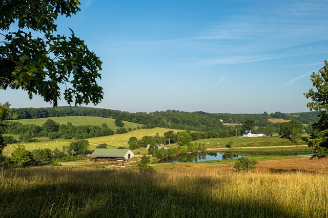 444 Rural Route 3 O-527, Ava, MO 65608