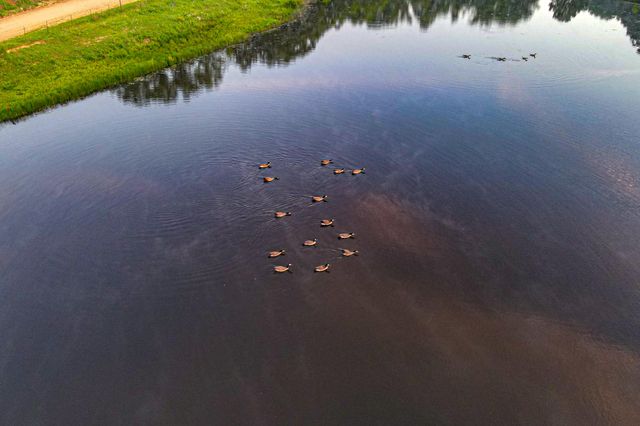 444 Rural Route 3 O-527, Ava, MO 65608