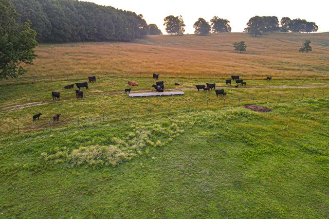 444 Rural Route 3 O-527, Ava, MO 65608