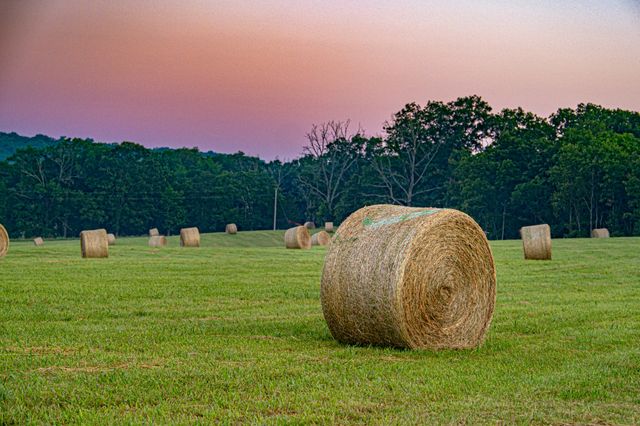 444 Rural Route 3 O-527, Ava, MO 65608