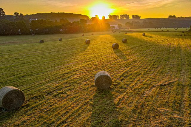 444 Rural Route 3 O-527, Ava, MO 65608