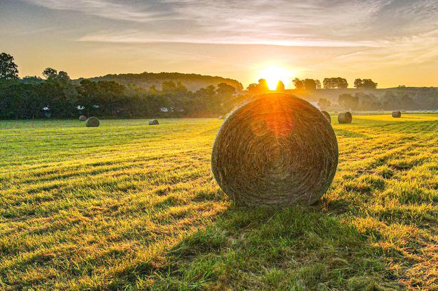 444 Rural Route 3 O-527, Ava, MO 65608