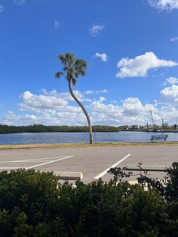 611 DESTINY DRIVE 115, Ruskin, FL 33570