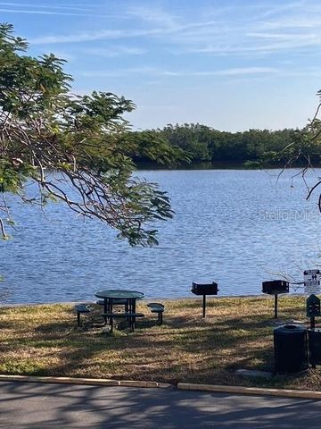 611 DESTINY DRIVE 115, Ruskin, FL 33570