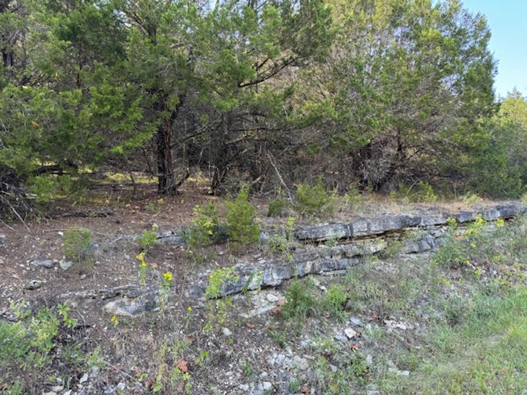 270 Table Rock Drive, Holiday Island, AR 72631