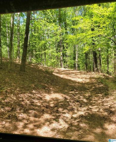 4886 WAR EAGLE DRIVE, Helena, AL 35022