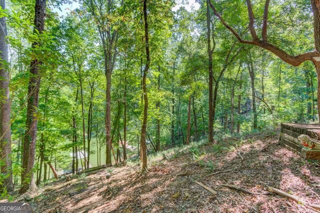 3629 Lakeview Drive, Gainesville, GA 30501