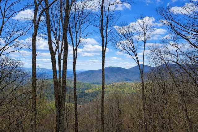 217 Walnut Ridge, Ellijay, GA 30540