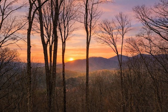 217 Walnut Ridge, Ellijay, GA 30540