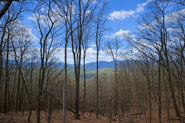 217 Walnut Ridge, Ellijay, GA 30540