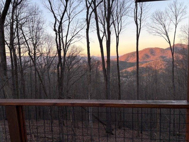 217 Walnut Ridge, Ellijay, GA 30540